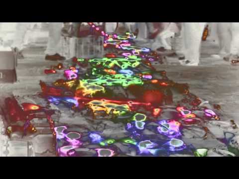 Zâr Ensamble Shanbehzadeh Matthieu Donarier Trio Zâr