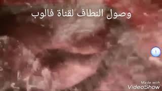 قدرة الله في خلق الإنسان