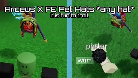Arceus X FE hats pet Script