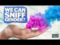 Hand Smell Predicts Gender? - Mind Blow thumbnail