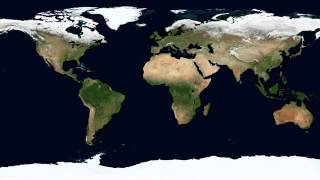 What are Continents