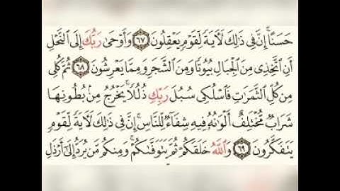 وأوحى ربك إلى النحل القارئ محمد سعيد الحريزي