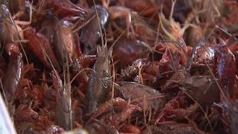 Ray McClain Crawfish Presentation