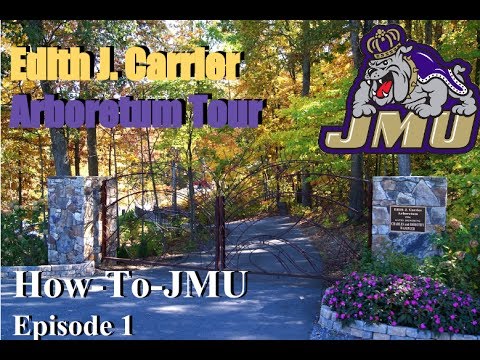 jmu tour guides