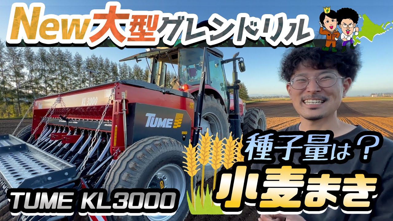 【トラクター】新型TUME KL3000グレンドリルで小麦まき ファーガソン5465