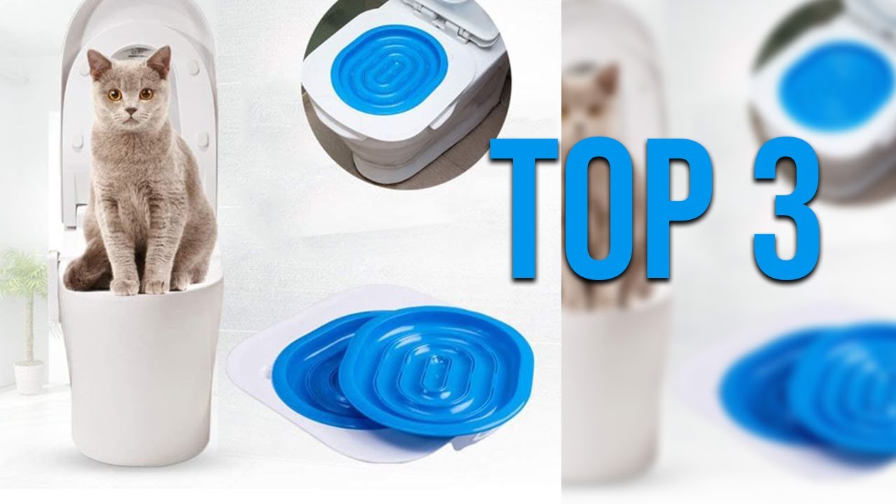 Top 3 Meilleur Kit De Toilette Pour Chat Youtube