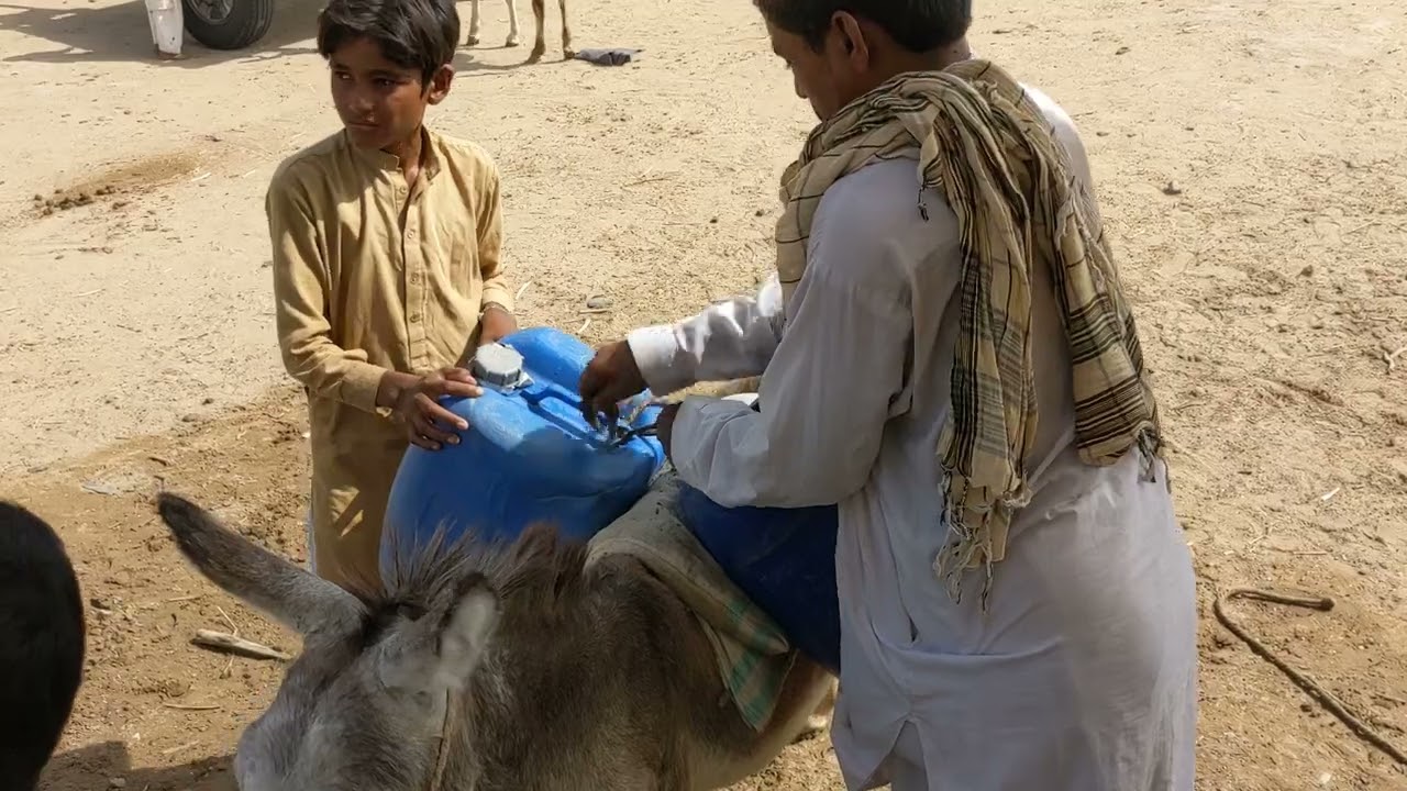 Arid Adventures: Exploring Desert Animal Life""From Scorpions to Camels: The Wonders of Desert Fauna