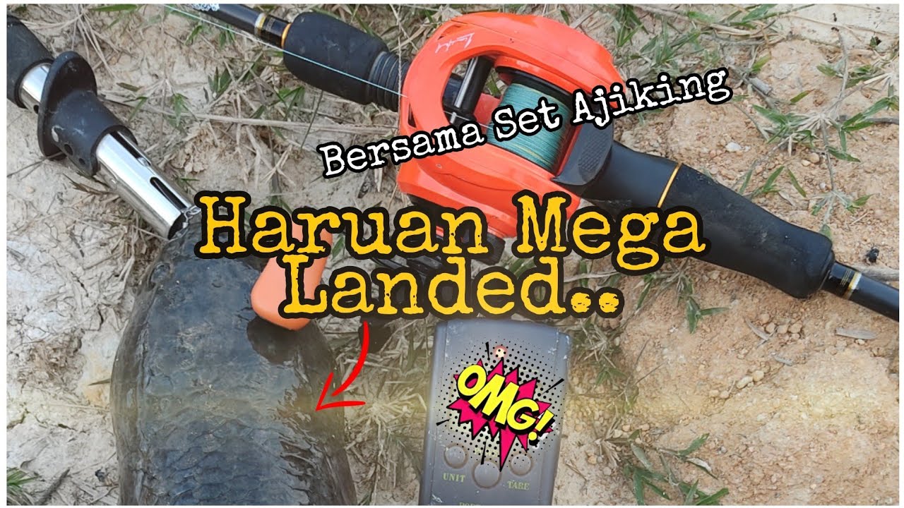 Casting Haruan@gabus Menggunakan SOFT FROG MICRO | DOUBLE STRIKE Saiz MEGA |