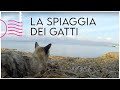 SARDEGNA - La spiaggia dei Gatti