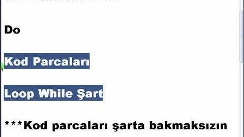VisualBasic NET 2008 Ders 92   Do  Loop While Döngüsü   Mozilla Firefox