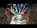 Brave Girl Captures Two Giant Python Nests Alone Incredible Snake Rescue in the Wild! #python