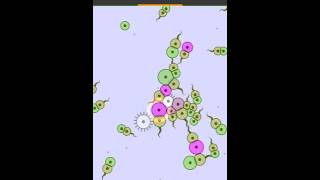Cell Lab: Infection III -- Nitrate-Stealing Parasite Virus