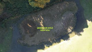 Qızıl Göl Mesed Hor Balakən, Katex