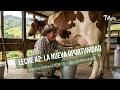 Leche A2: La nueva oportunidad para ganaderos colombianos - TvAgro por Juan Gonzalo Angel