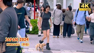 4k hdr japan travel 2024 | Walk in Harajuku（原宿）Tokyo japan |  Relaxing Natural City ambience