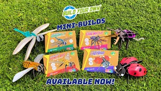 Eco-Friendly Cardboard Insect TOYS ! | Build Your Own Kits