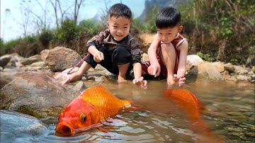 Tổng hợp video em ổi tìm bắt cá chép vàng hoang dã ở suối #cávàng #fishing #bắtcávàng #concá