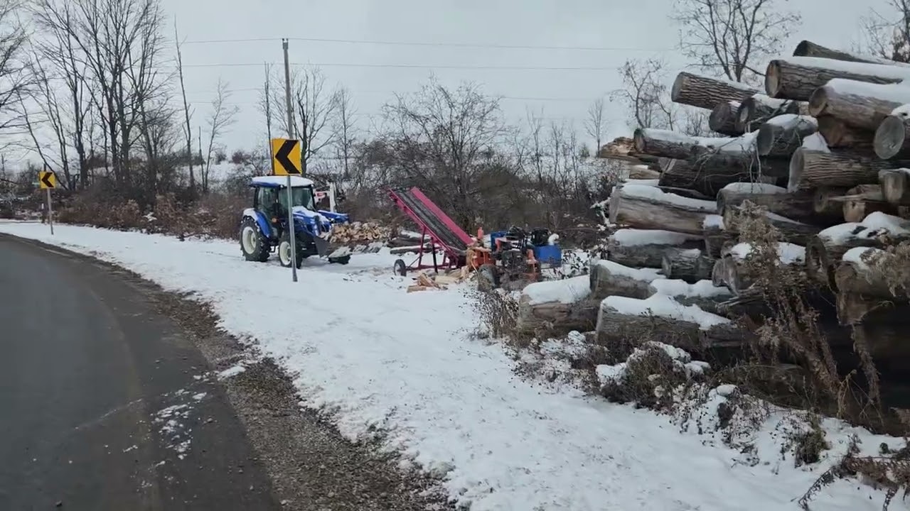 Log pile- to the firewood processor