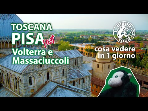 Video: Parco natural di San Rossore Massaciuccoli descriere și fotografii - Italia: Pisa