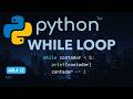 While em Python: break, continue, flags e aplicações práticas (Aula 12)