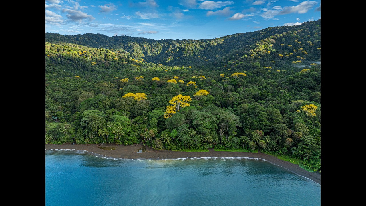 Golfo Dulce Estate video tour