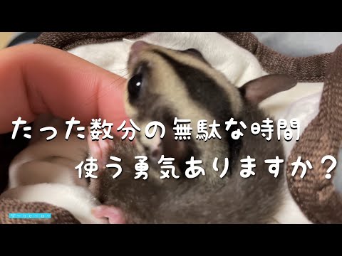 【無駄な時間＝余裕のひととき】＝薄い内容w