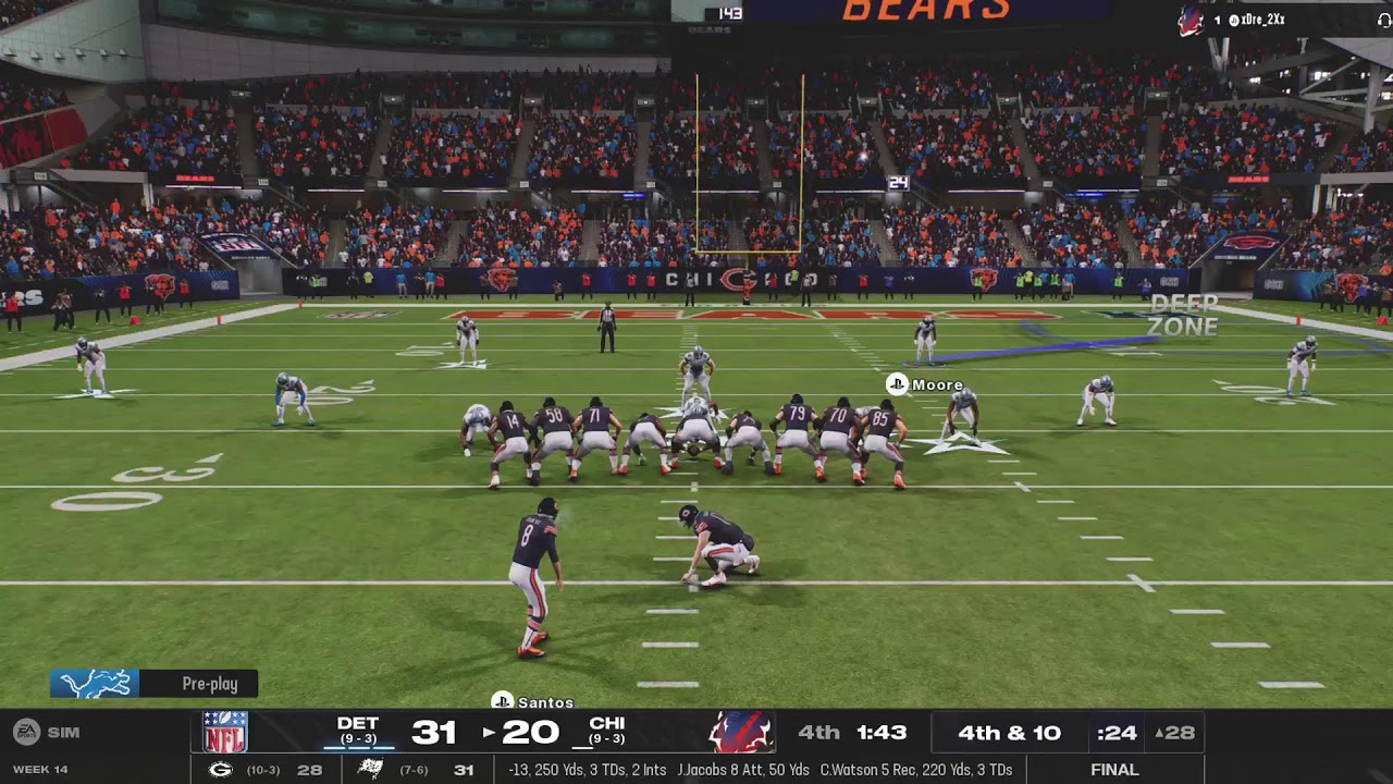 Lions vs bears - YouTube