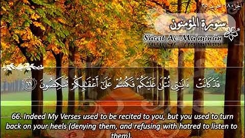 سورة المؤمنون ماهر المعيقلي Sûrat Al Mu'minûn Maher Al Muaiqly