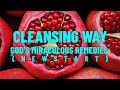 Cleansing Way: God&#39;s Miraculous Remedies (NEWSTART)