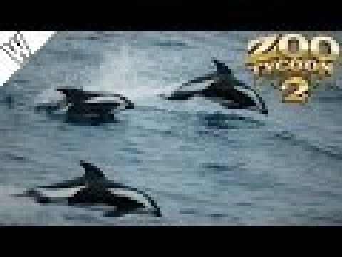 Zoo Tycoon 2 World Ocean Zoo #5 - Hourglass Dolphin