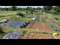 Allotment Update....