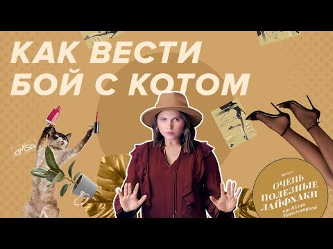 Как вести бой с котом / ЛАЙФХАКИ с Юлией Топольницкой