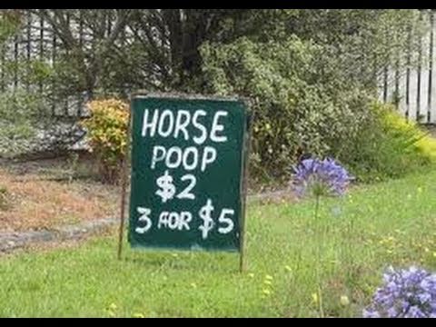 Horse Poop At The Carnival