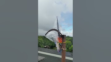 Fielding the worst possible Meshtastic node