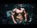 Aesthetic fitness motivation  feel the pump