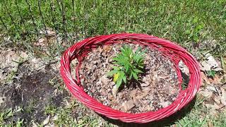 Let's go Outside and Thanks #GrowCommunity🚜🌱