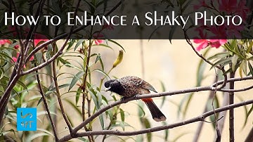 How to Enhance a Shaky Photo, Photography Post Processing Photoshop Tutorial