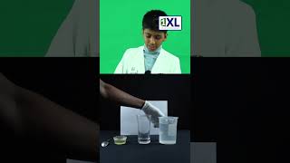 Oil and Water Separation | Simple Science Experiment for Kids Kids