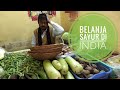 Belanja Sayuran di New Delhi, India