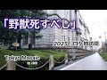 「野獣死すべし」2025ロケ地訪問 松田優作、小林麻美、監督:村川透 1980年公開の大藪春彦の小説を原作とした角川映画です。