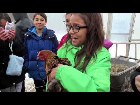 Haven Kids Rock @ The Center for Discovery (Farm)