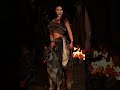 Unveiling the Czech Wolfhound: A Wolf Girl's Wild Journey