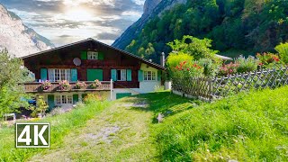 Stechelberg Switzerland 🇨🇭 Scenic Summer Walk In The Rear Lauterbrunnen Valley