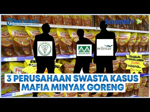 3 Perusahaan Swasta Terjerat Kasus Mafia Minyak Goreng, Wilmar Nabati, Musim Mas, dan Permata Hijau
