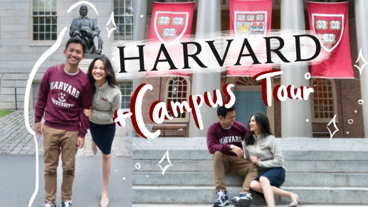 harvard alumni travel tours