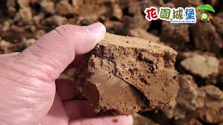 「產地直擊」三本線赤玉土硬質茨城縣栃木縣燒成赤玉土顆粒土 ... 