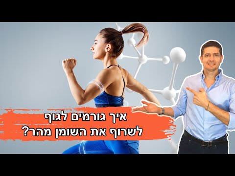 דיאטה ללא פחמימות (קיטו) איך גורמים לגוף לשרוף שומן מהר