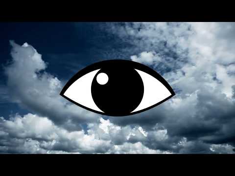 Eco Virtual -