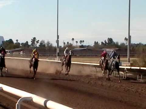 carreras de caballos en tucson,Arizona 1