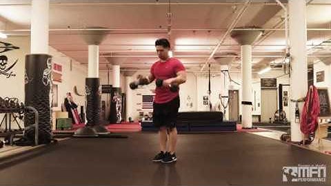 Dumbbell Reverse Curl - MFN Performance/MikeFit.com